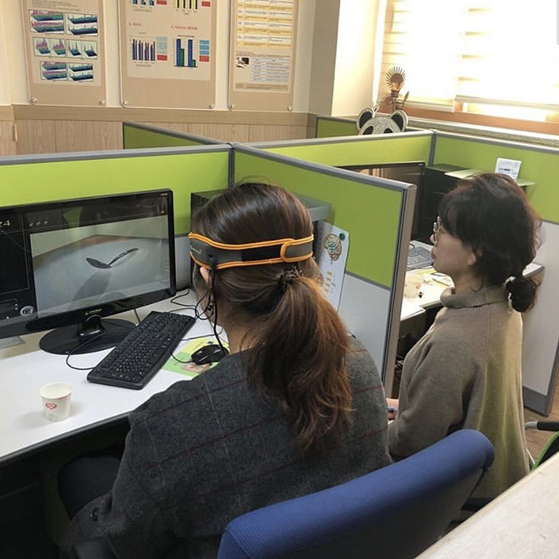 뇌파훈련, 뇌파치료